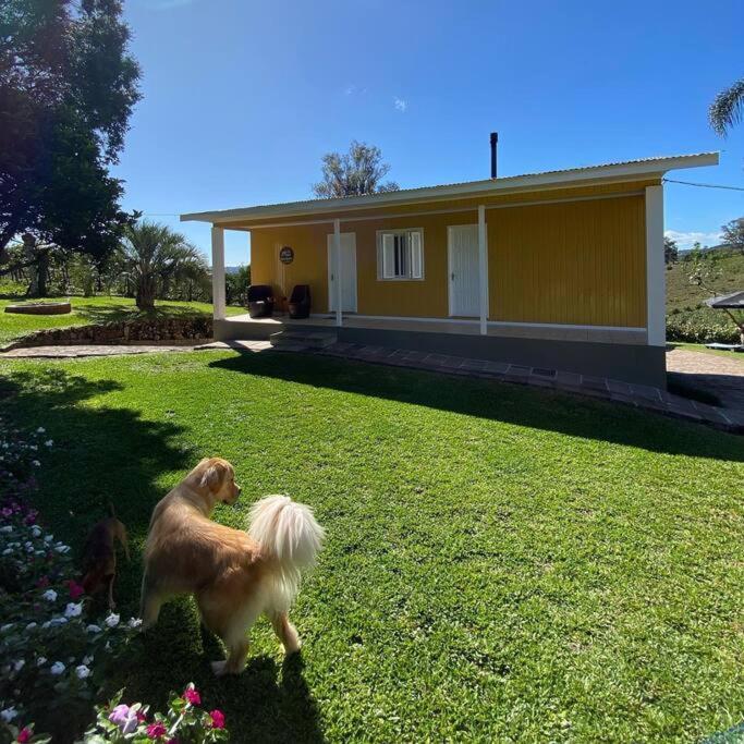 Casa Vigneto Octavio No Vale Dos Vinhedos Villa Bento Goncalves Bagian luar foto