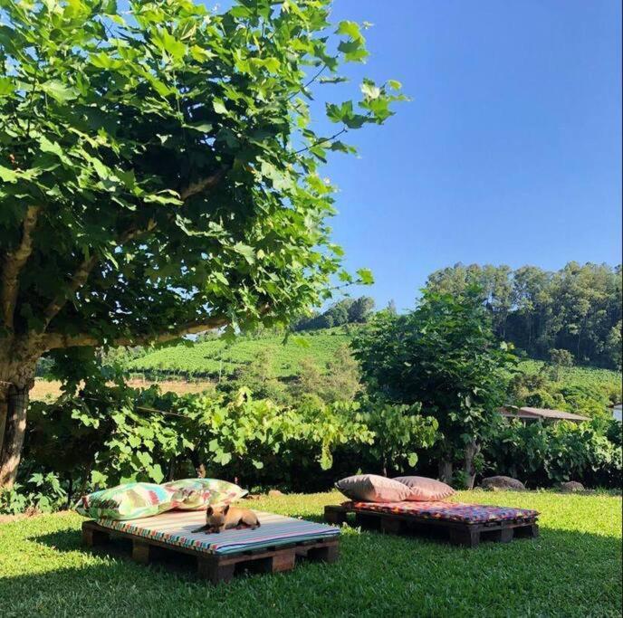 Casa Vigneto Octavio No Vale Dos Vinhedos Villa Bento Goncalves Bagian luar foto